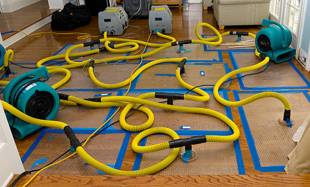 Professional Crawl Space Water Removal technician working in East Earl, PA